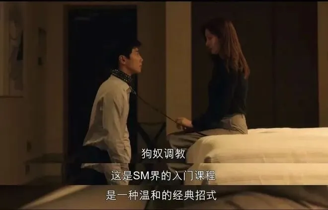 西檬之家-Queen是什么？她的字母圈属性解析