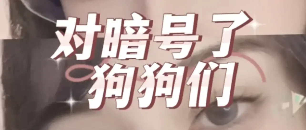 西檬之家-DS关系如何建立信任：新手实践指南