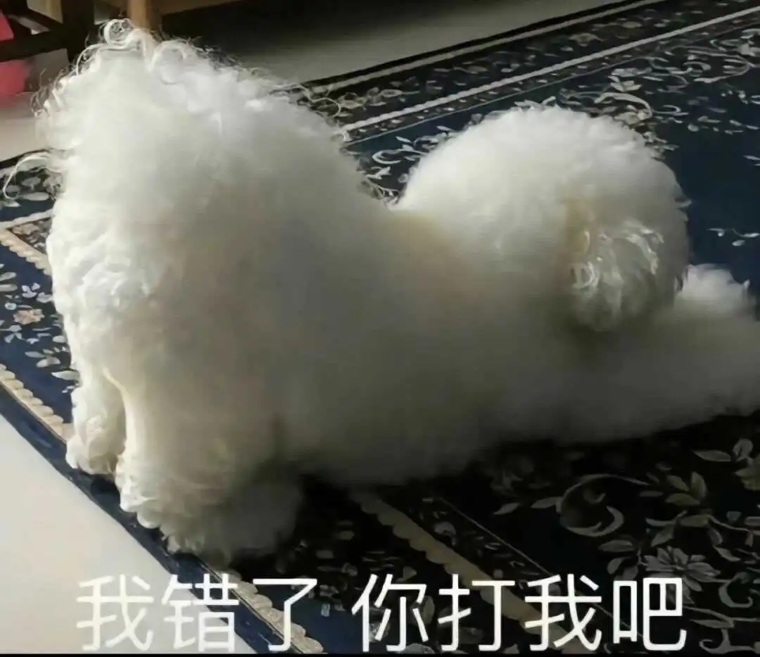 西檬之家-字母圈新人入圈指南：从基础术语到安全实践