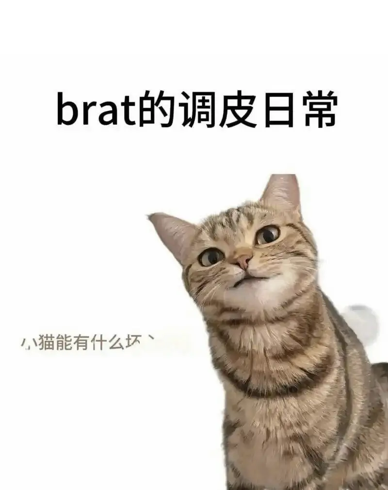 【西檬之家】DS关系入门指南：字母圈新人的核心概念解析