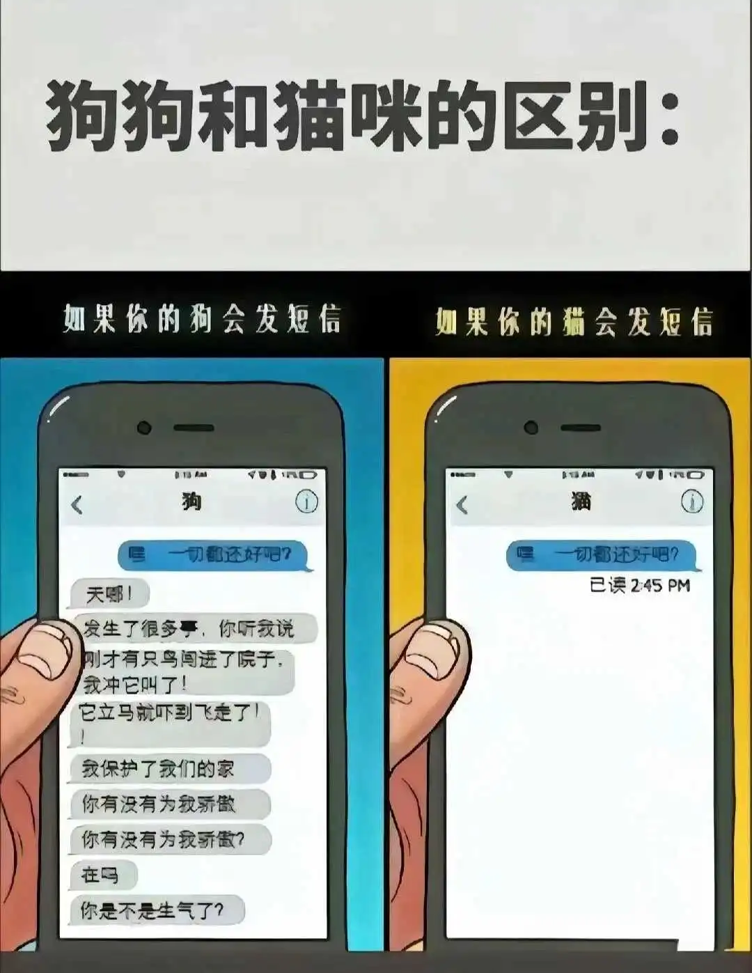 西檬之家-字母圈dosome是什么？支配臣服关系全面解析