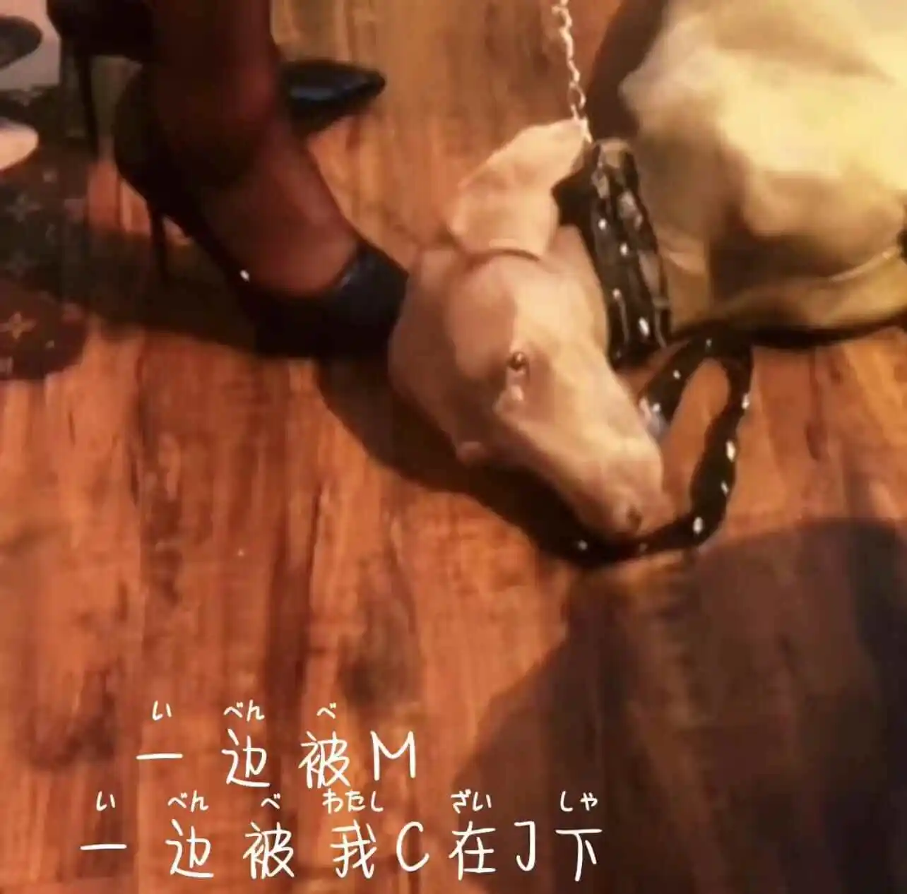 [西檬之家]-字母圈新人如何理解Dom的角色？