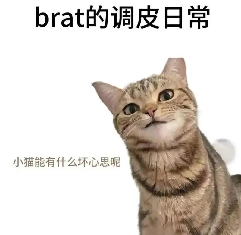 Sp - 微信图片_20251203212836_109_19