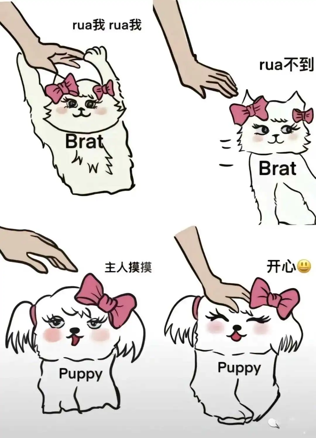【西檬之家】字母圈新人入圈：新手指南与术语解析
