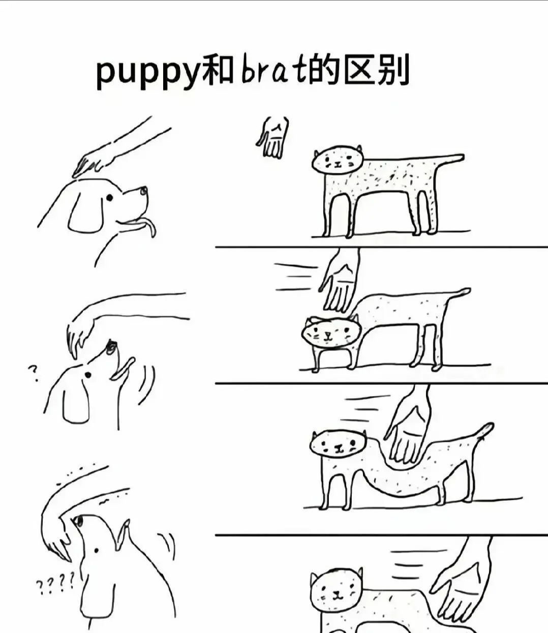 DS关系 - 微信图片_2025-11-13_180940_765